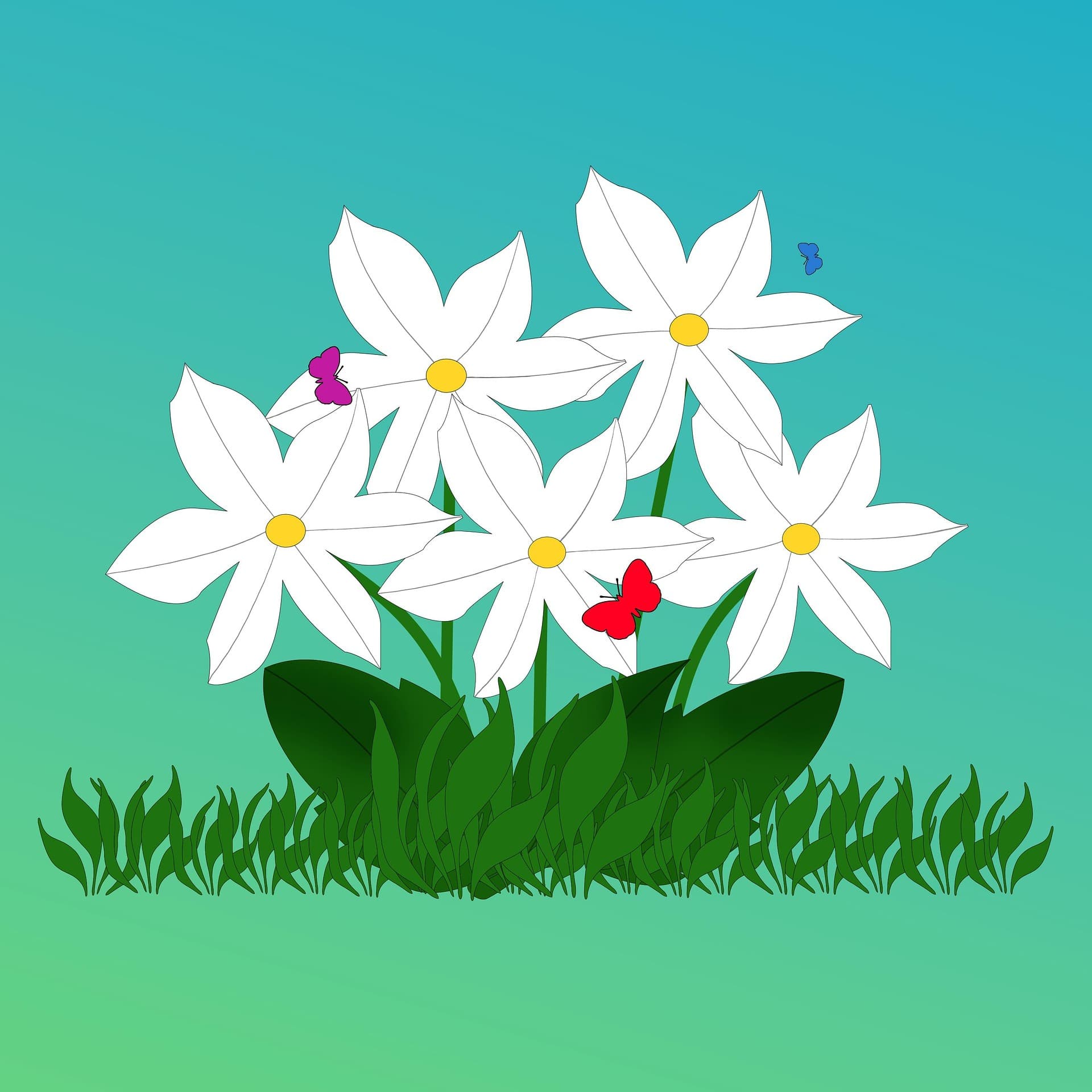Auth illustration
